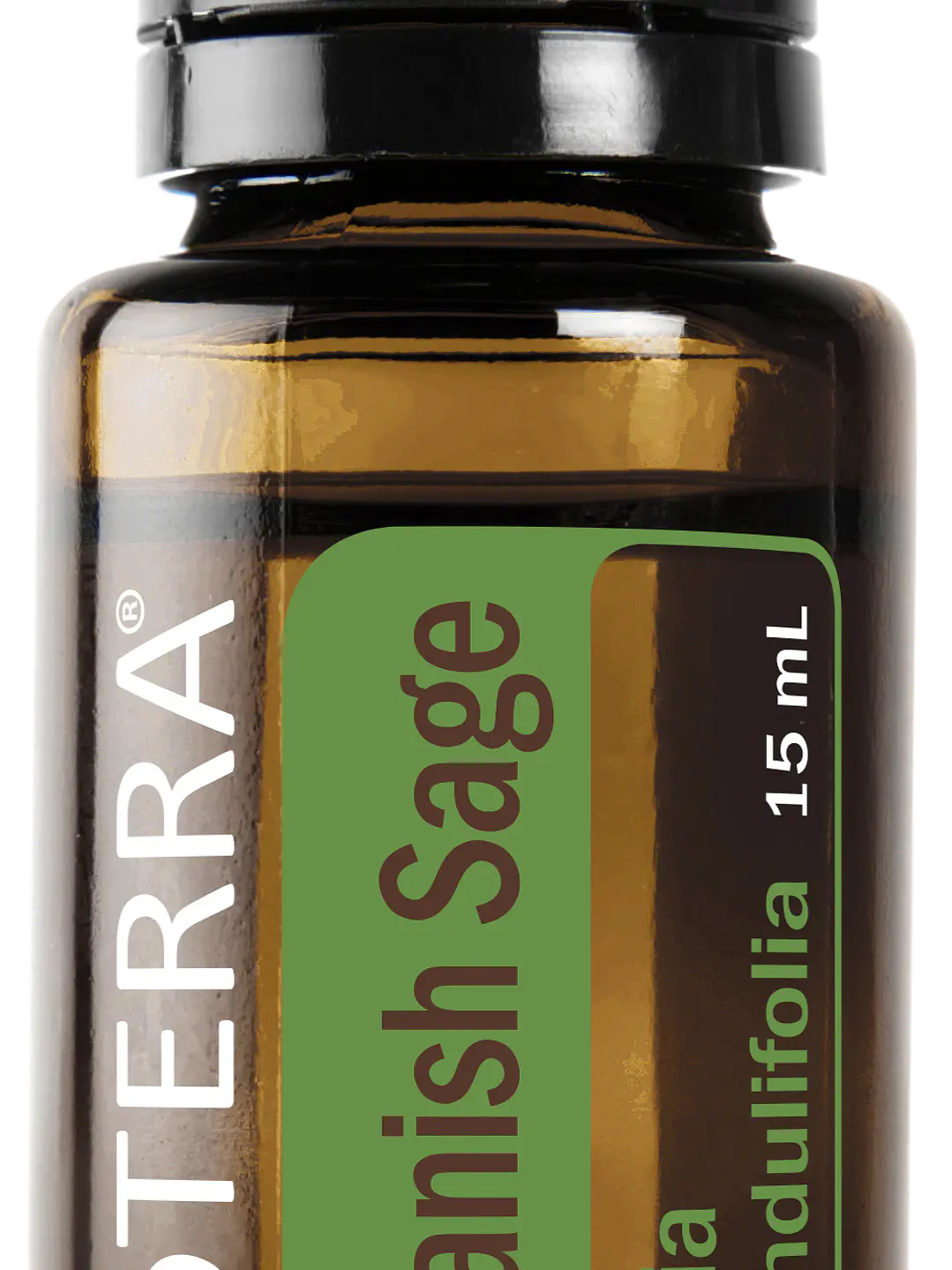 Salvia Española ( Spanish Sage / Salvia Lavandulifolia) 15 ml  1