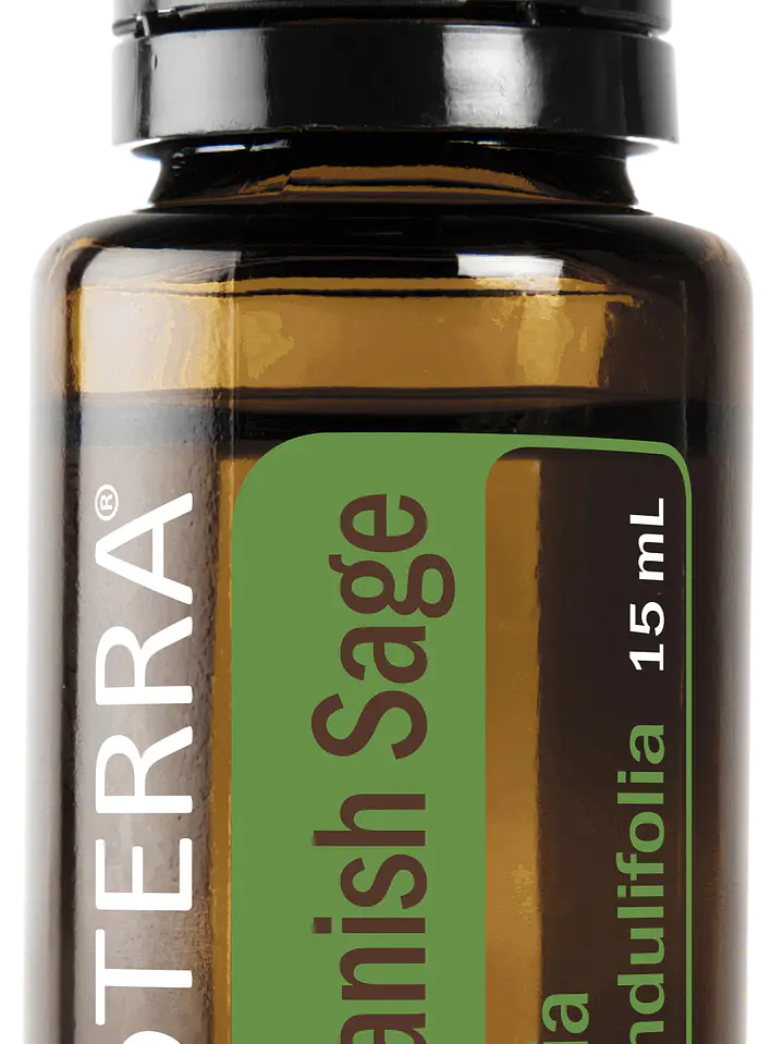Salvia Española ( Spanish Sage / Salvia Lavandulifolia) 15 ml  1