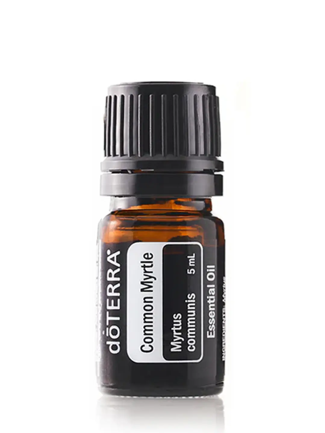 Common Myrtle ( Mirto común / Mirto de Italia / Myrtus communis ) 5ml 1