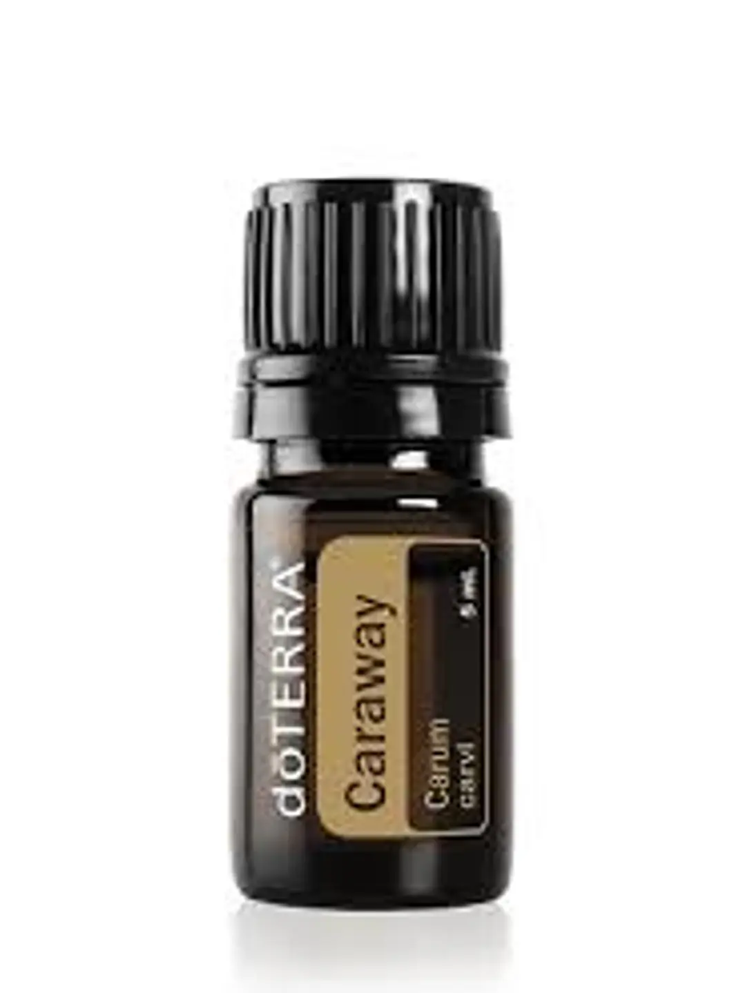 Aceite esencial doTerra Alcaravea (Caraway) 5 ml 1