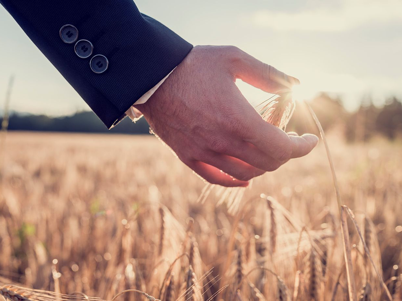 Emprende con doTERRA: Descubre el Potencial del Negocio de Aceites Esenciales