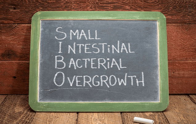 Aceites Esenciales doTERRA para el Sobrecrecimiento Bacteriano del Intestino Delgado (SIBO)