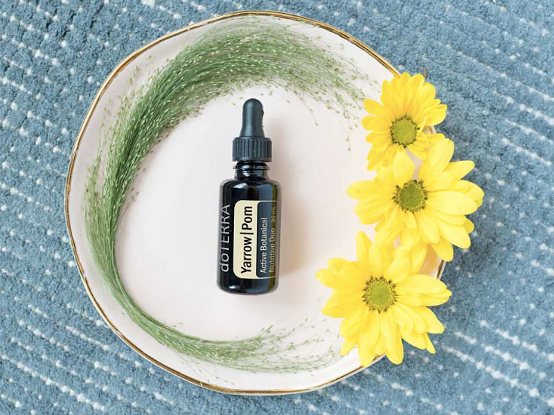 Usos y beneficios: Yarrow|Pom - Un Dúo Dinámico para la Salud y el Bienestar