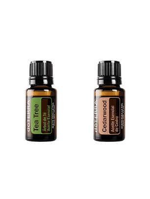 2x1 doTerra Compra Árbol del Té– Lleva Madera de cedro | Vive Esencial