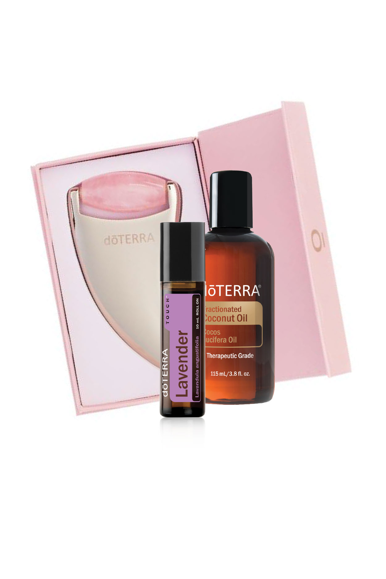 Rodillo Facial + Lavanda + Aceite de Coco doTerra | Vive Esencial 1