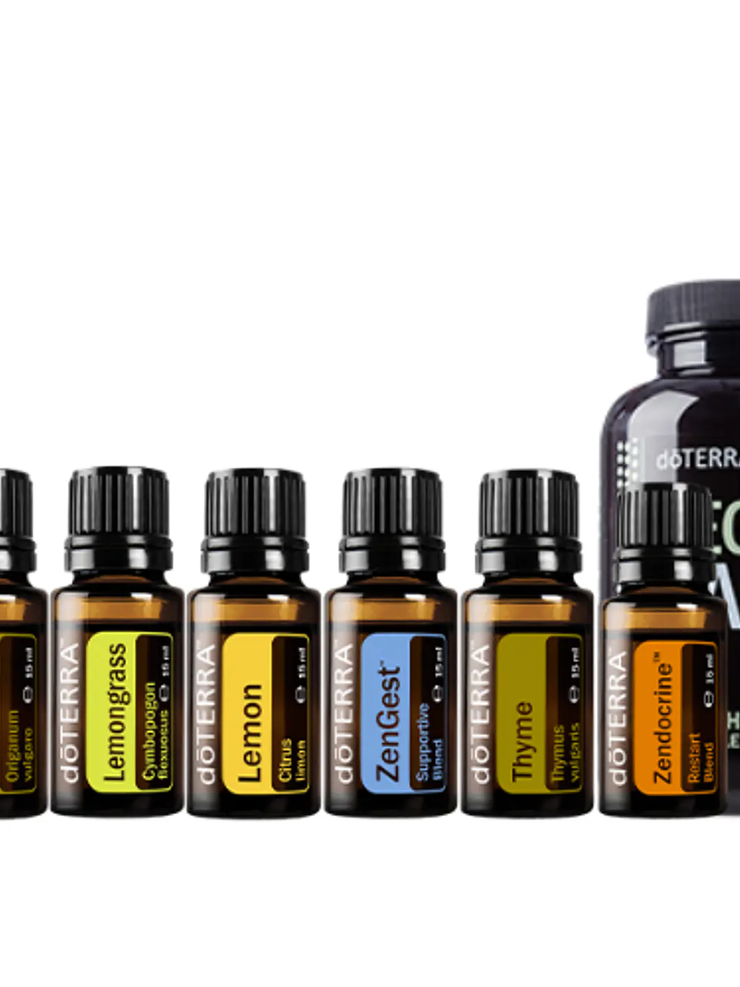 Kit doTerra helicobacter pylori + Programa | Vive Esencial 2