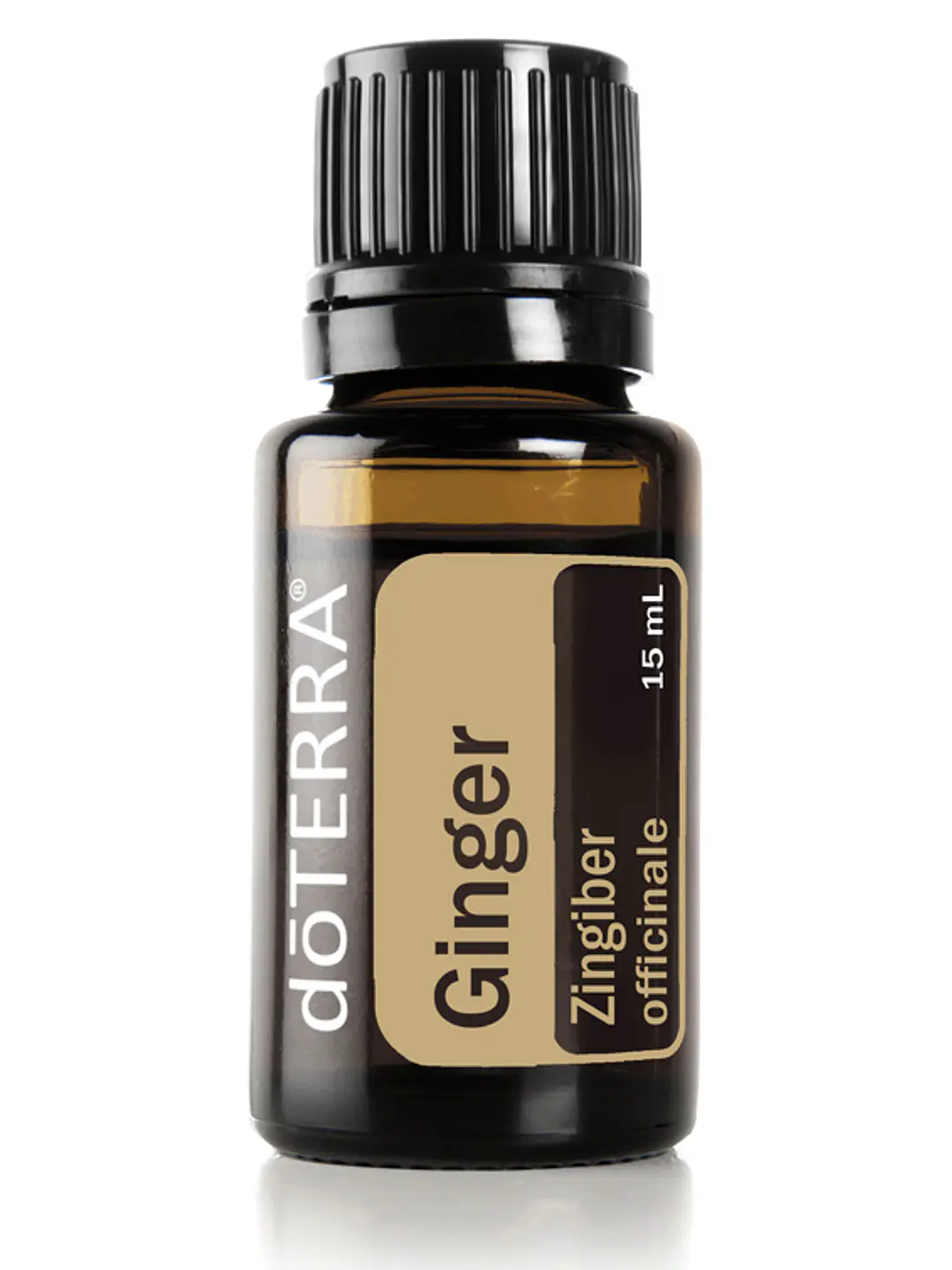 Aceite esencial doTerra jengibre (Ginger) 15 ml 1