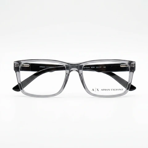 ARMANI EXCHANGE AX 3016 8239