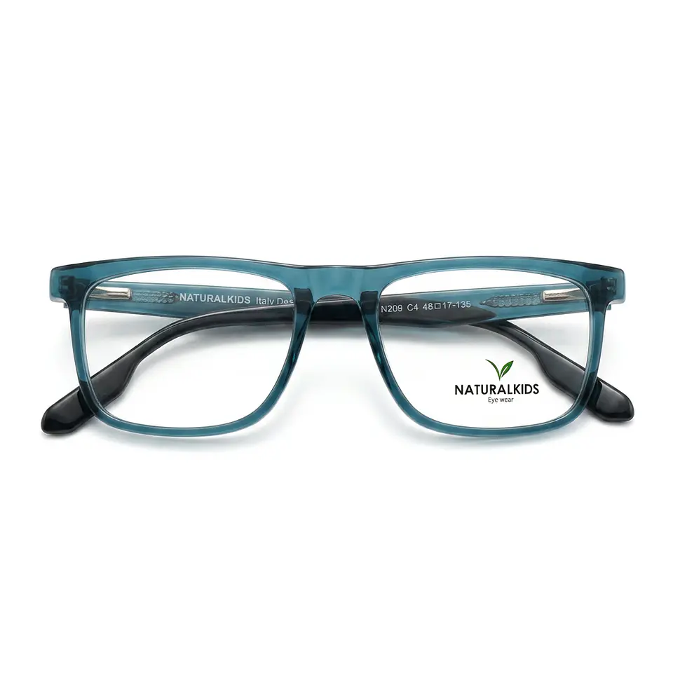 NATURAL VISION N209 C4 1