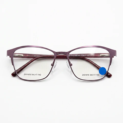 ZIMI EYEWEAR ZIS1978-1