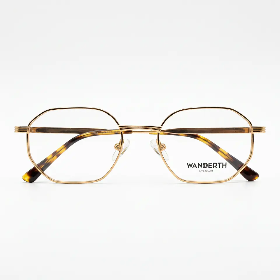 WANDERTH GS7010 C1 1