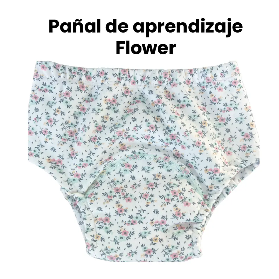 Pañales aprendizaje 1