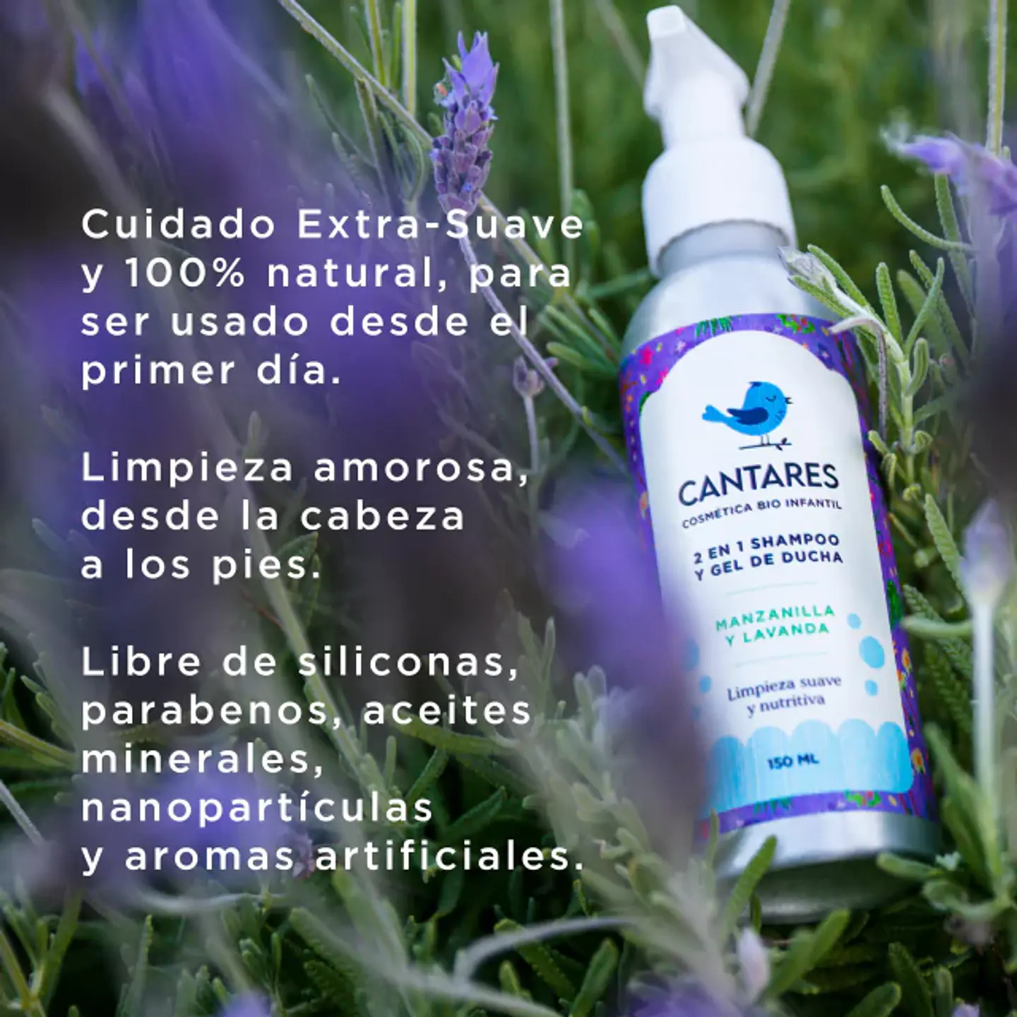 Shampoo Manzanilla 2