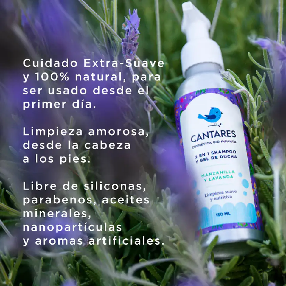 Shampoo Manzanilla 2