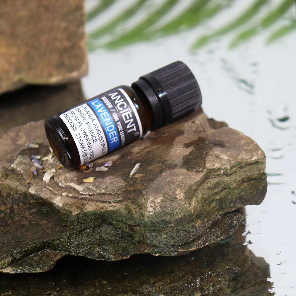 Óleo Essencial 10ml - Lavanda ou Alfazema 3