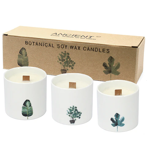 Velas Botânicas de Soja Grandes - Marsh Viola