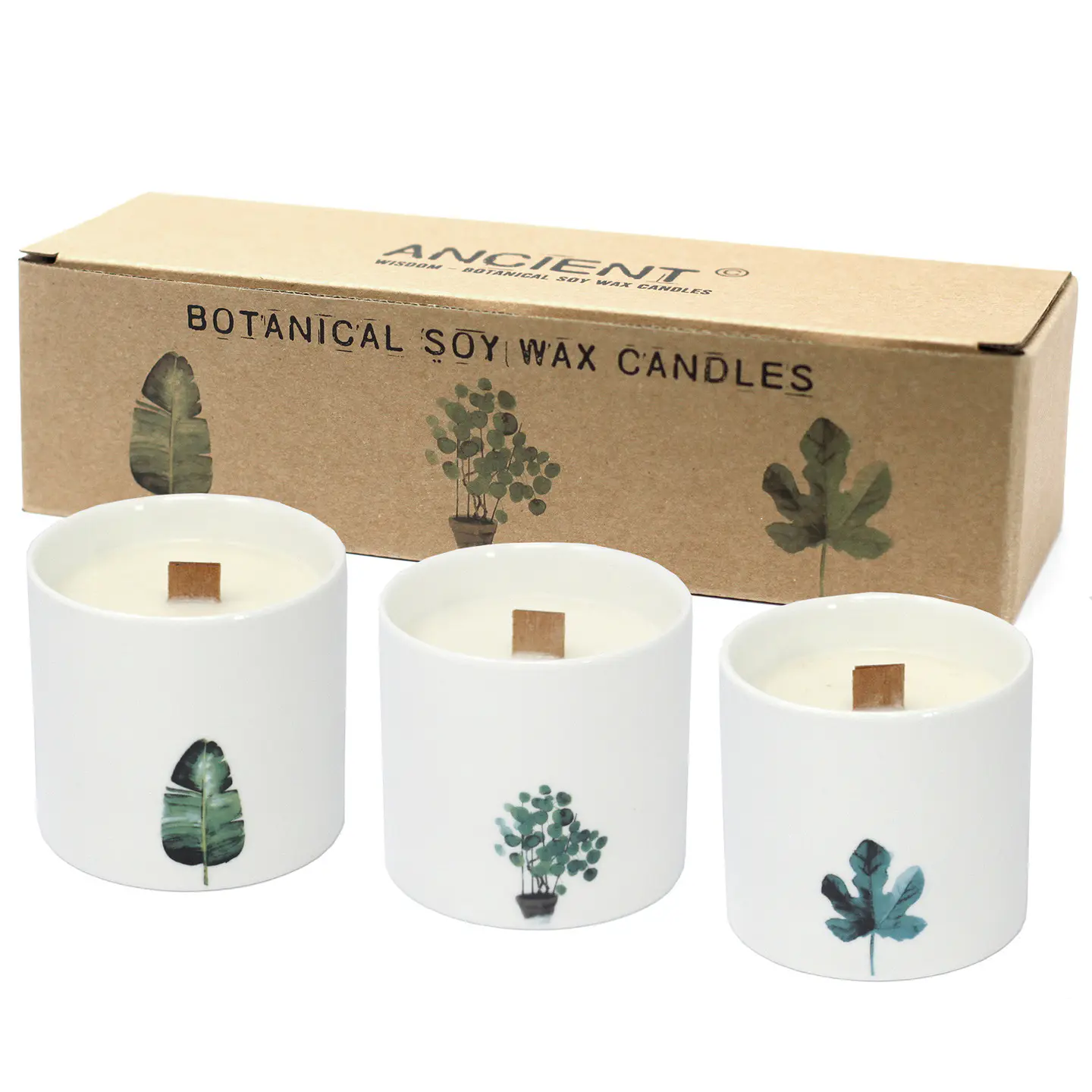 Velas Botânicas de Soja Grandes - Marsh Viola 1