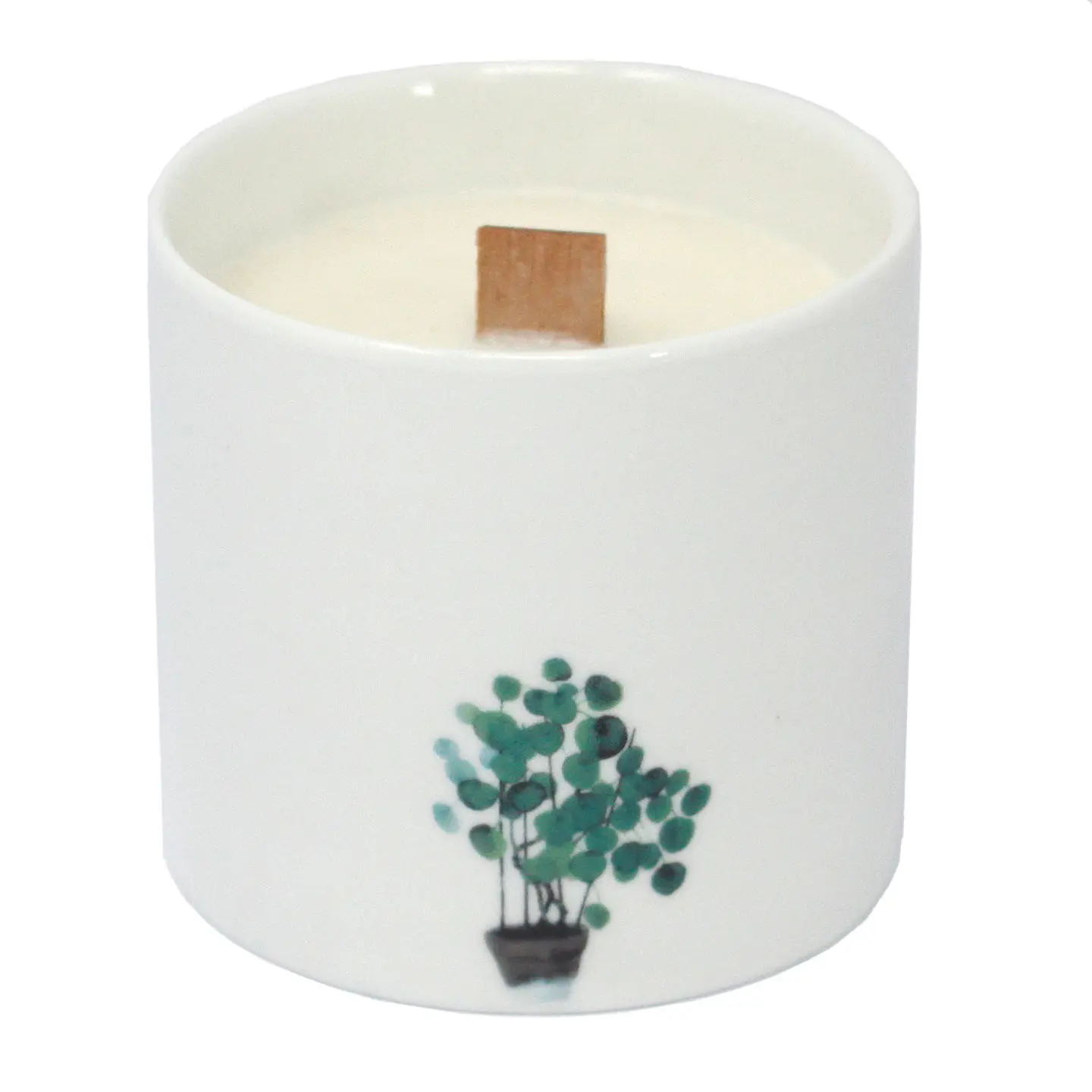 Velas Botânicas de Soja Grandes - Marsh Viola 3