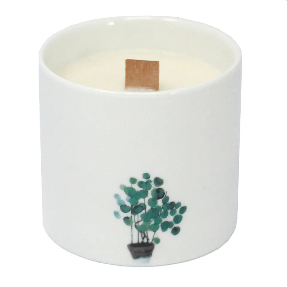 Velas Botânicas de Soja Grandes - Marsh Viola 3