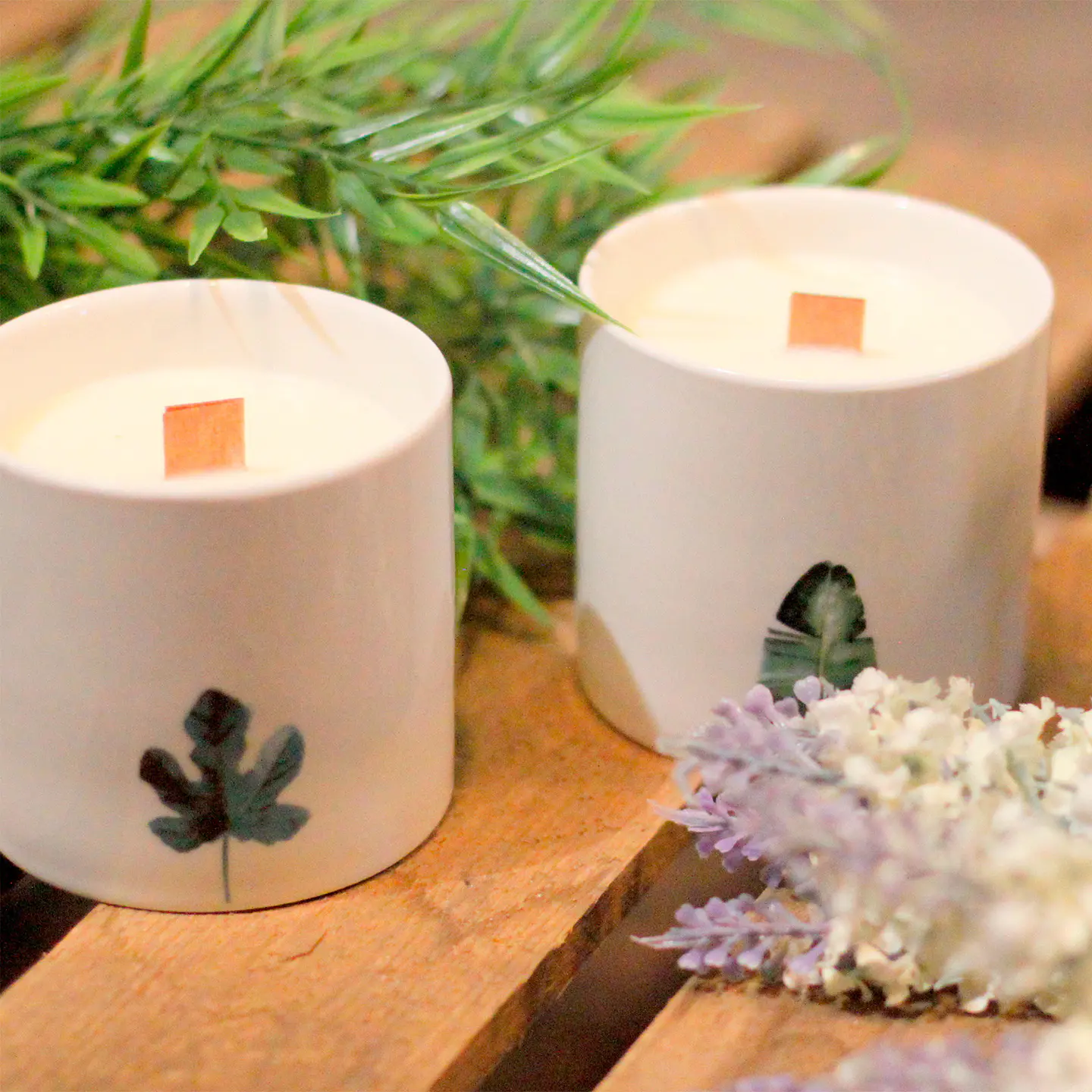 Velas Botânicas de Soja Grandes - Marsh Viola 6