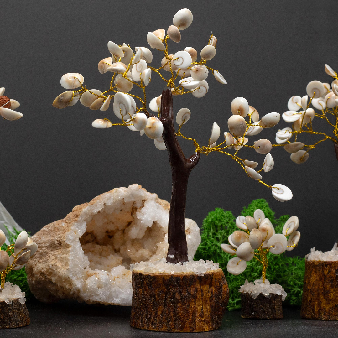 Árvore em Círculo de Pedras Gomati Chakras - 60 Pedras (18x13cm) 3