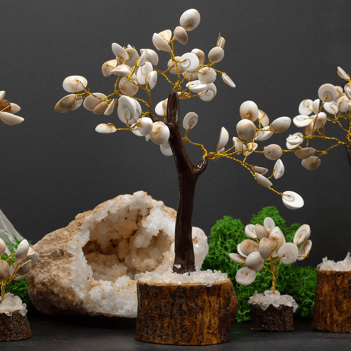 Árvore em Círculo de Pedras Gomati Chakras - 60 Pedras (18x13cm) 3