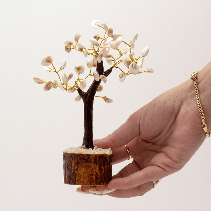 Árvore em Círculo de Pedras Gomati Chakras - 60 Pedras (18x13cm) 4