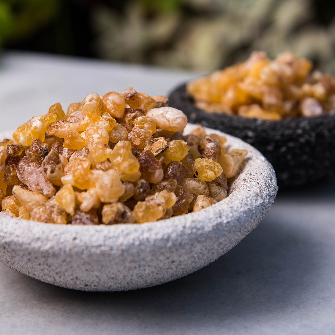 Varas de Incenso em Resina para Rituais - Frankincense (Olíbano) 2