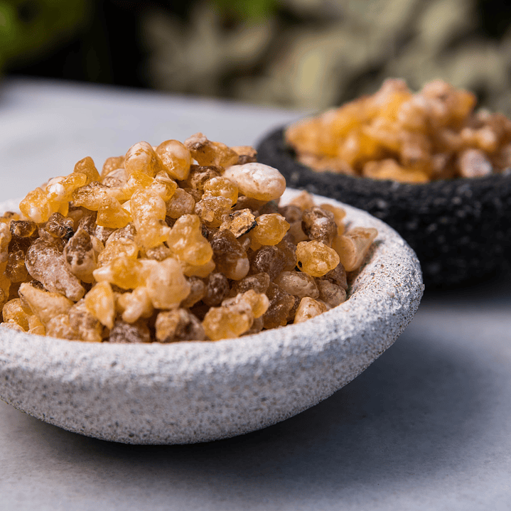 Pastilhas de Resina & Carvão p/ Defumação - Frankincense (Olíbano) 7