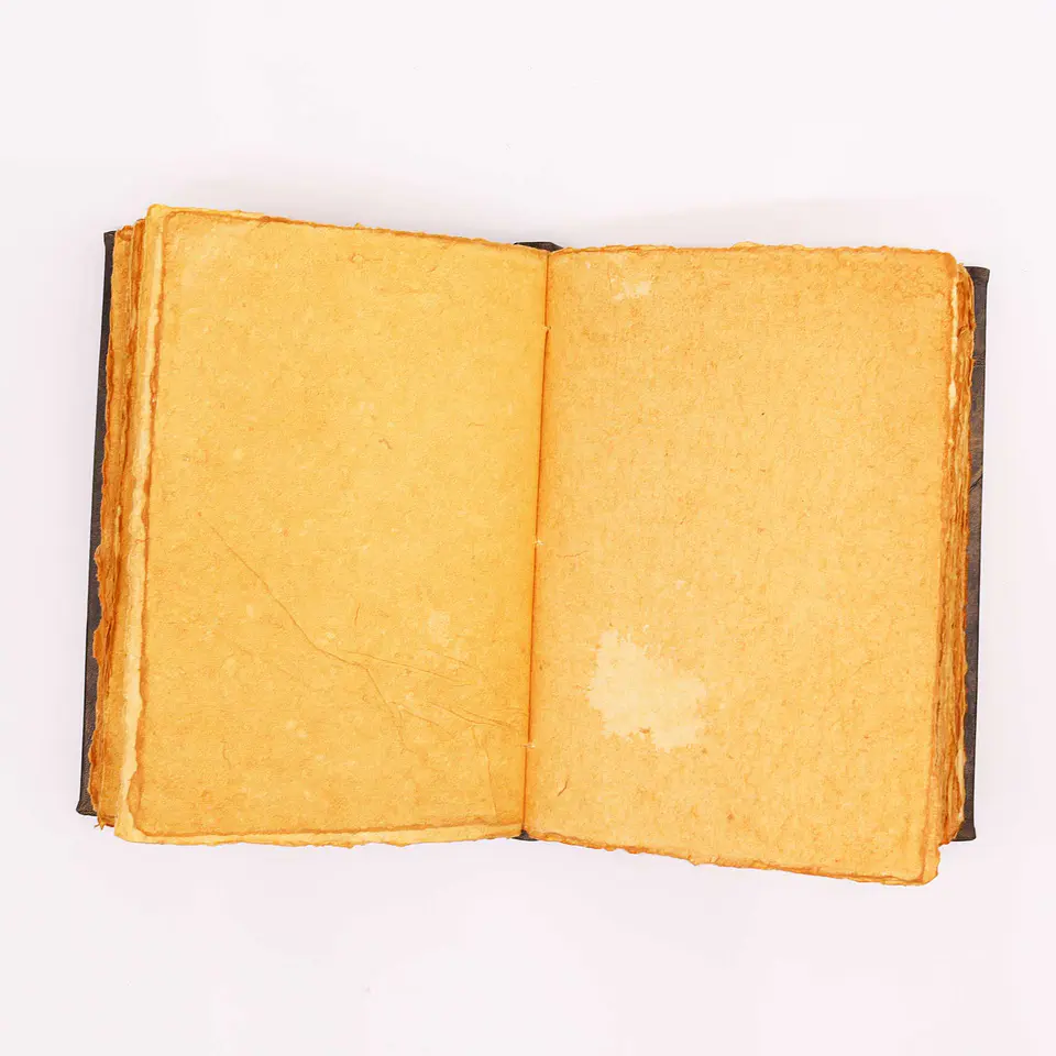 Livro em Pele Bronzeado com Bordas Decalcadas em Zinco - Pentagrama 26x18x4,5cm 3
