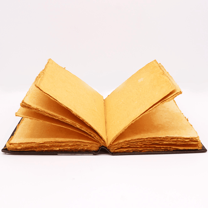 Livro em Pele Bronzeado com Bordas Decalcadas em Zinco - Pentagrama 26x18x4,5cm 4