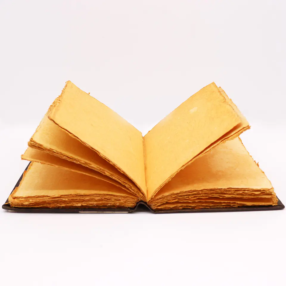 Livro em Pele Bronzeado com Bordas Decalcadas em Zinco - Pentagrama 26x18x4,5cm 4