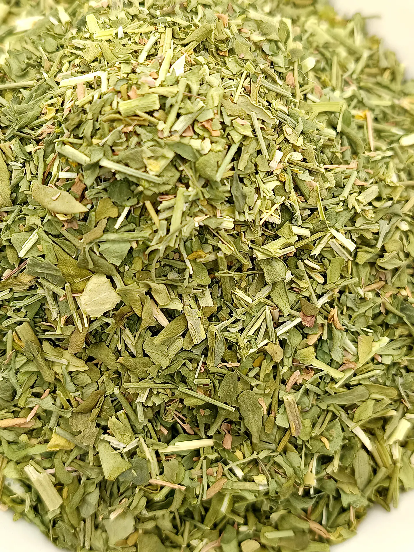 Arruda, Planta (Ruta Graveolens L.) - 60gr 5