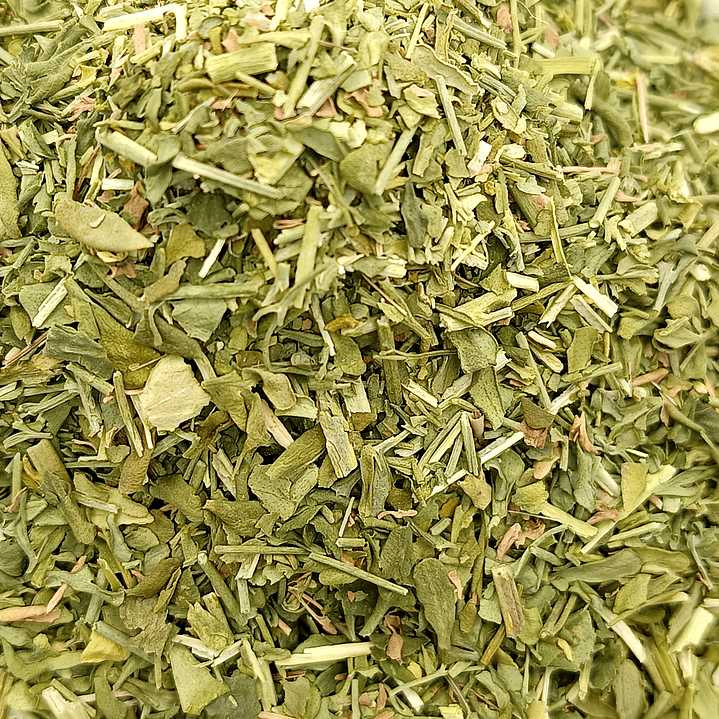 Arruda, Planta (Ruta Graveolens L.) - 60gr 5