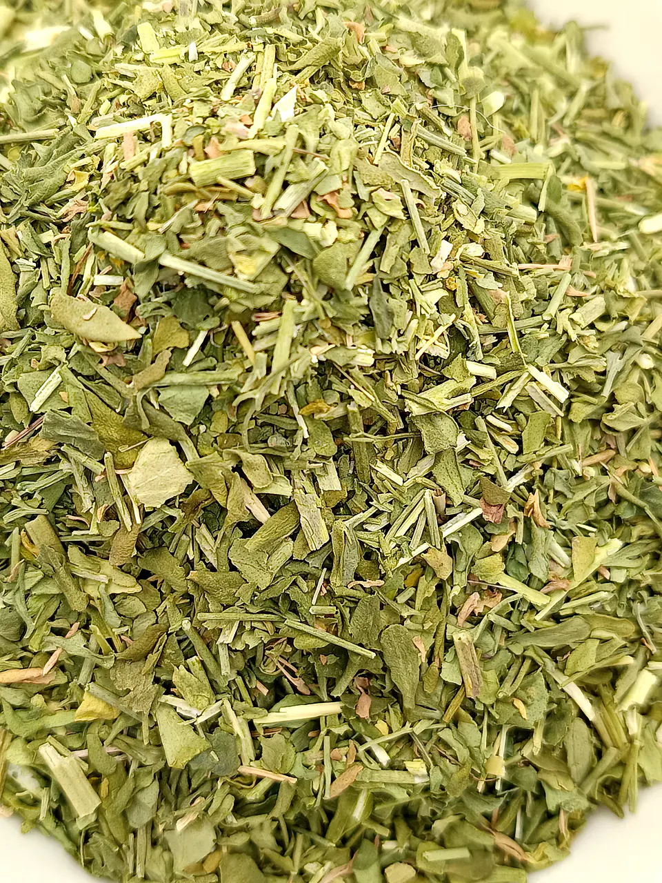 Arruda, Planta (Ruta Graveolens L.) - 60gr 5