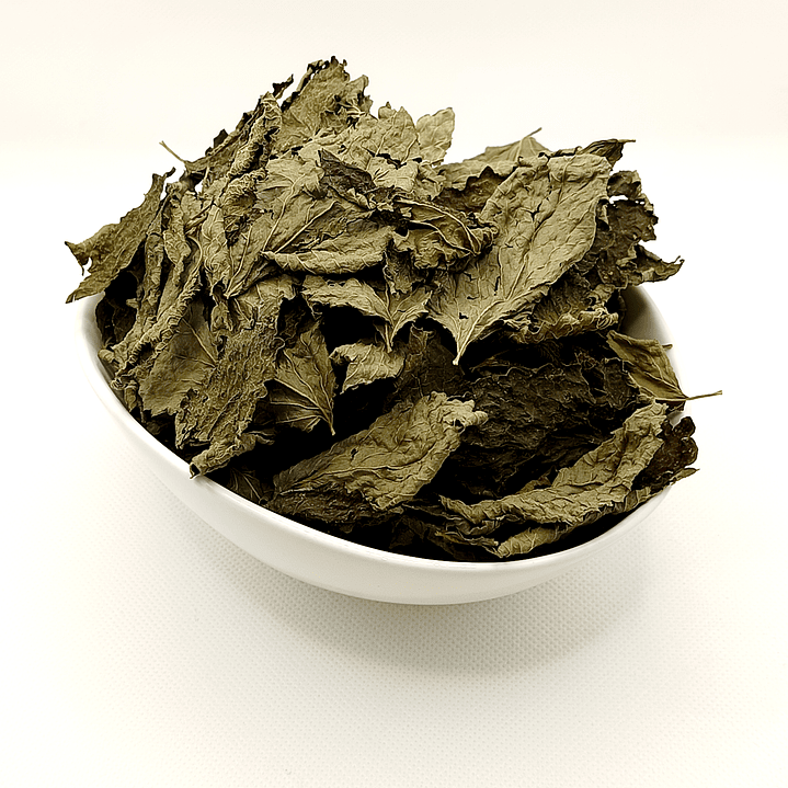 Cidreira, Folhas (Melissa Officinalis L.) - 20gr 2