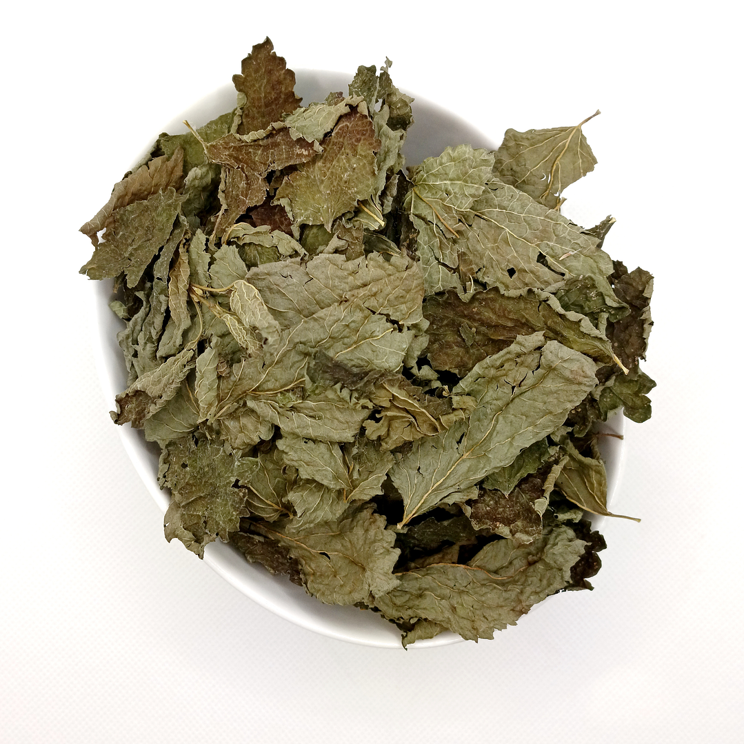 Cidreira, Folhas (Melissa Officinalis L.) - 20gr 3