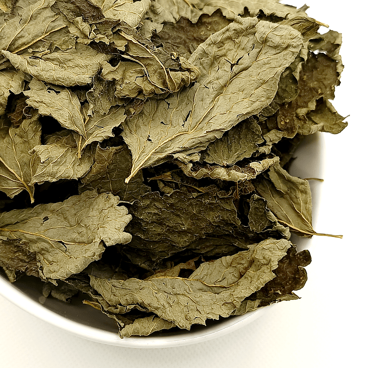 Cidreira, Folhas (Melissa Officinalis L.) - 20gr 4