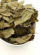 Cidreira, Folhas (Melissa Officinalis L.) - 20gr - Thumbnail 4