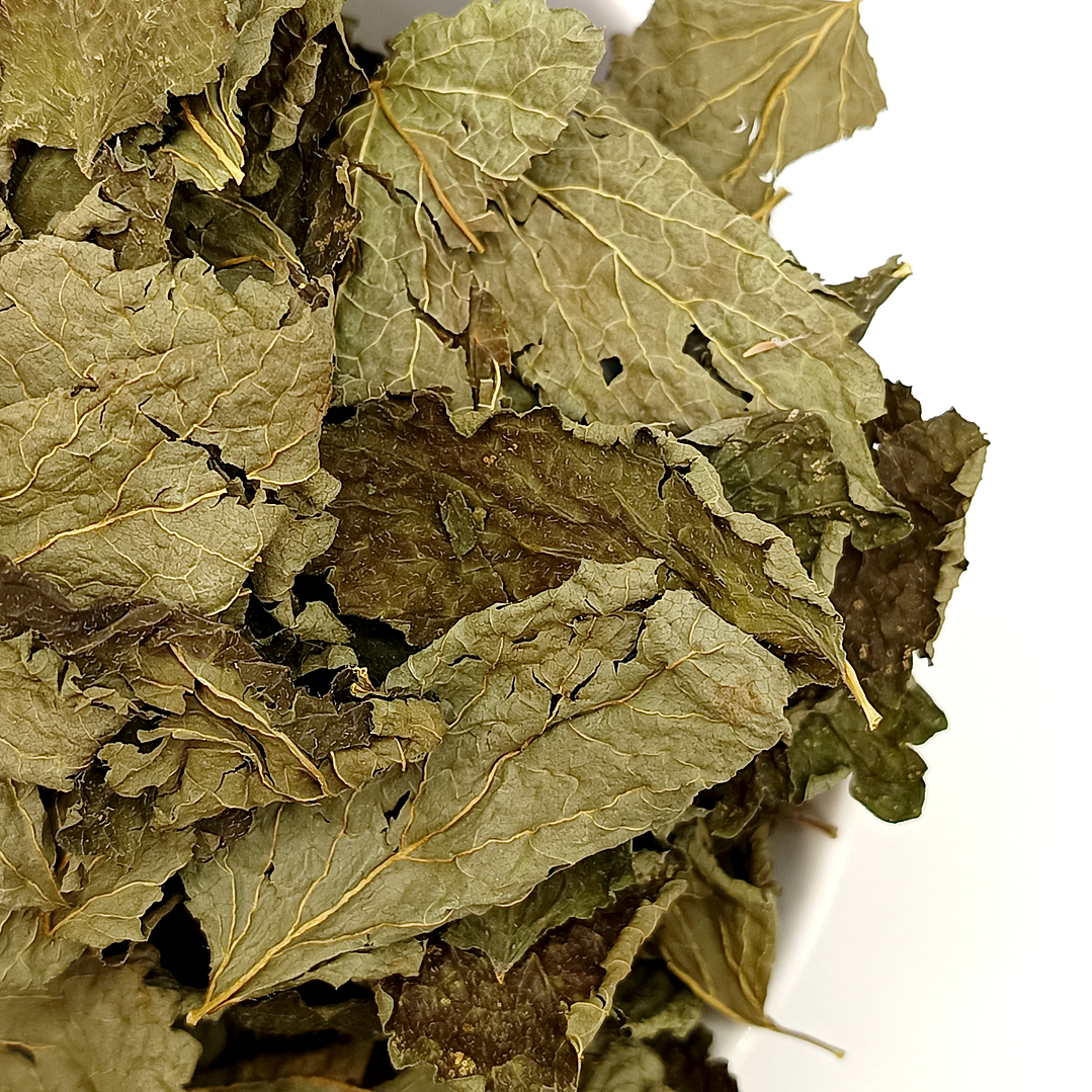 Cidreira, Folhas (Melissa Officinalis L.) - 20gr 5