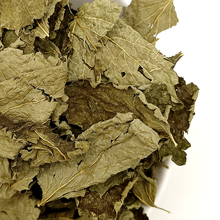 Cidreira, Folhas (Melissa Officinalis L.) - 20gr 5