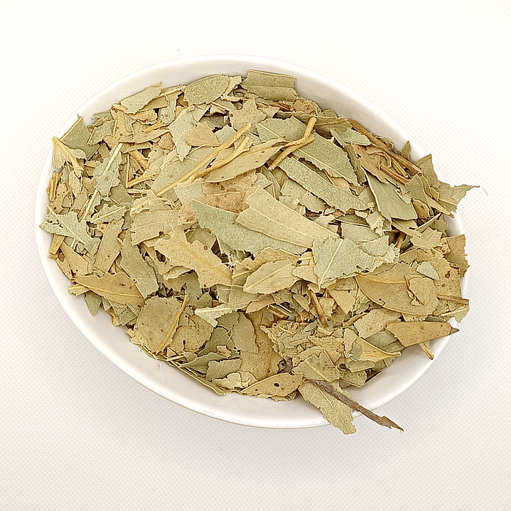 Eucalipto, Folhas (Eucalyptus Globulus L.) - 60gr 3