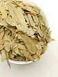 Eucalipto, Folhas (Eucalyptus Globulus L.) - 60gr - Thumbnail 4
