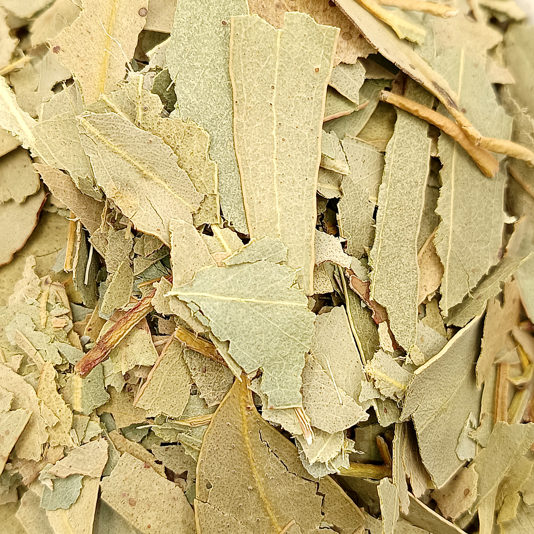 Eucalipto, Folhas (Eucalyptus Globulus L.) - 60gr 5