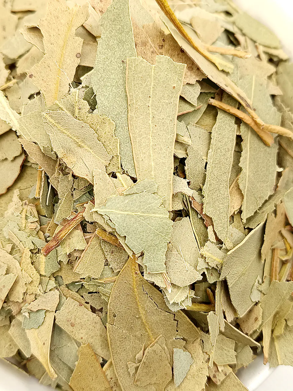Eucalipto, Folhas (Eucalyptus Globulus L.) - 60gr 5