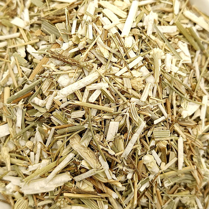 Funcho, Planta (Foeniculum Vulgare) - 50gr 5