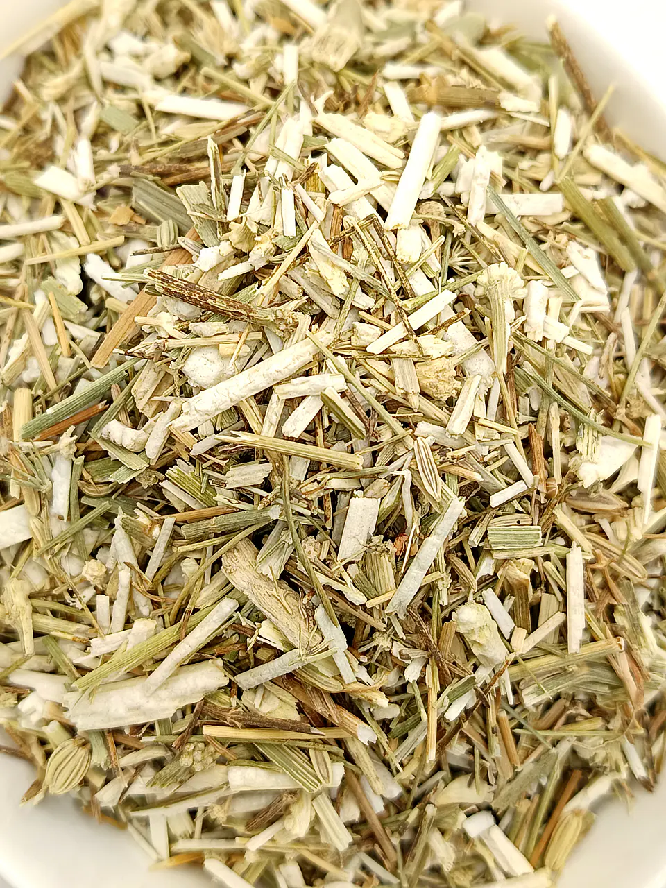 Funcho, Planta (Foeniculum Vulgare) - 50gr 5