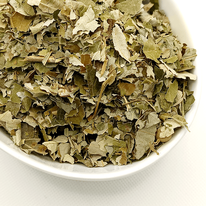 Tília, Folhas (Tilia Europaea L.) - 30gr 4