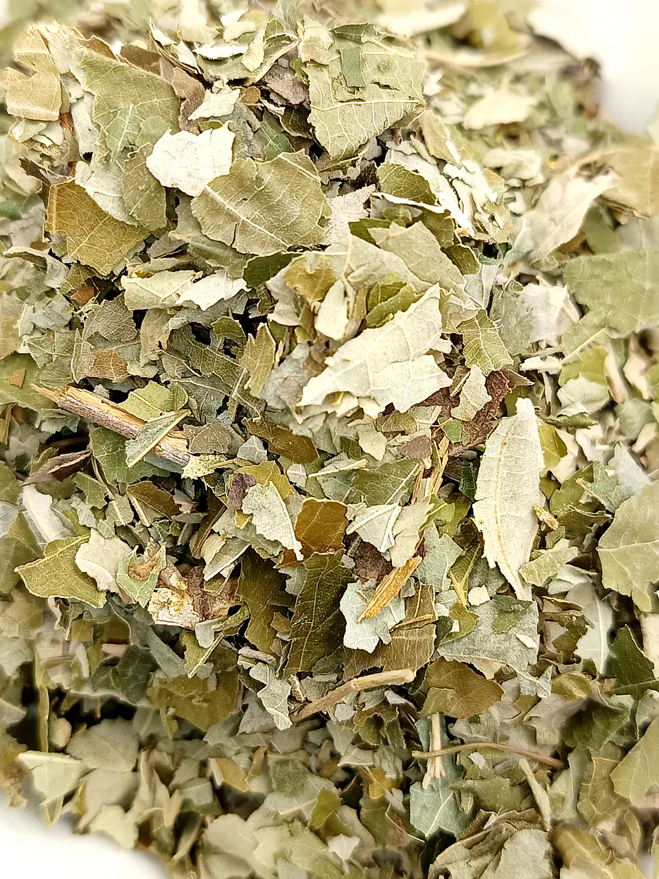 Tília, Folhas (Tilia Europaea L.) - 30gr 5