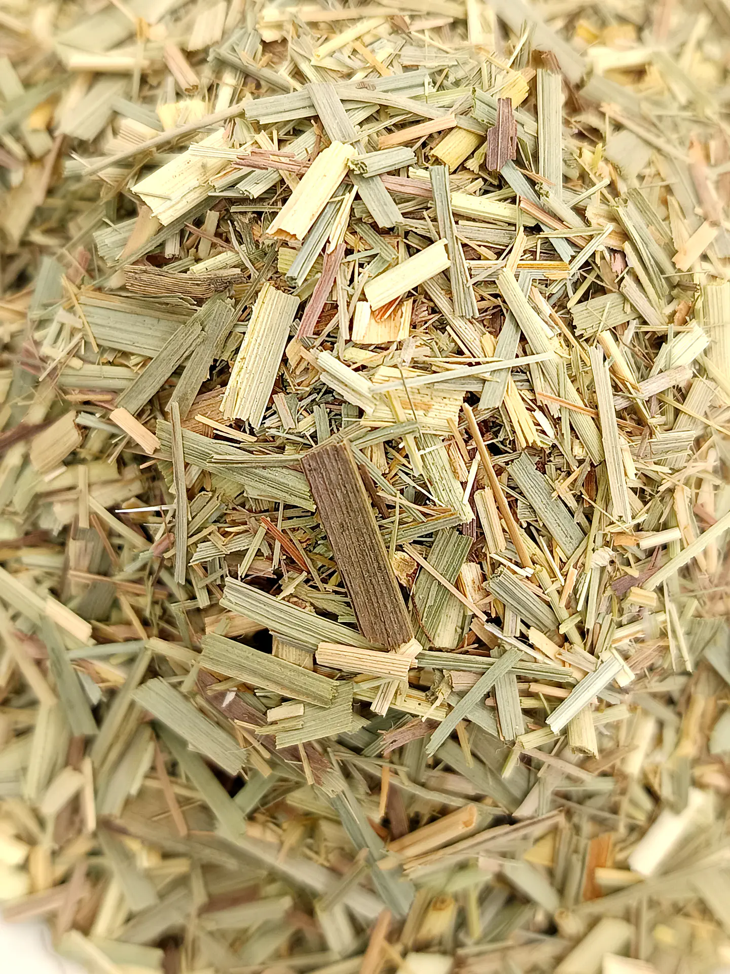 Erva-Príncipe, Folhas (Cymbopogon Citratus) - 40gr 5